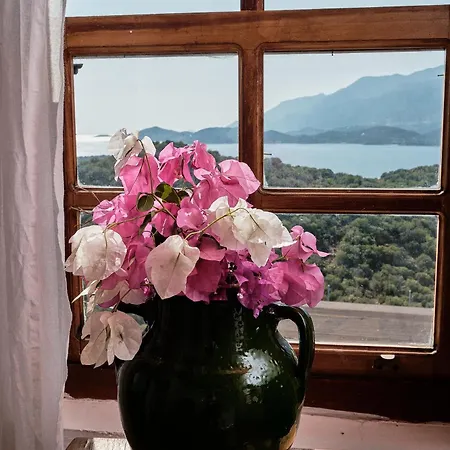 Kaktus 2 Villa Kas